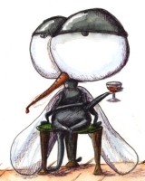 Avatar de l’utilisateur