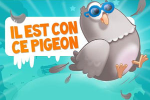 Pigeon.jpg