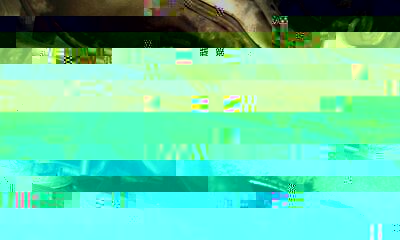 vue fixation cata sur collecteur