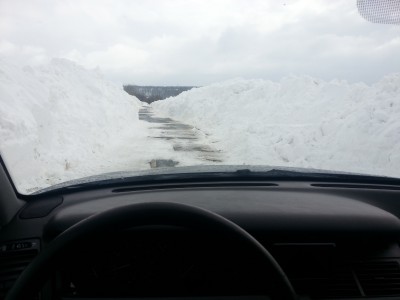 20130313_114403.jpg