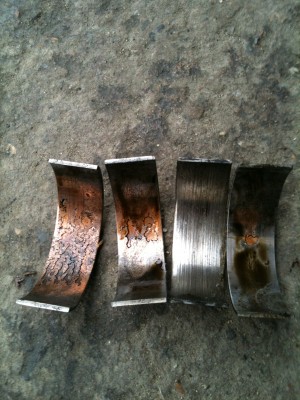 2013-04-13 17.09.20.jpg (43.42 Kio) Vu 10233 fois Oui, ce sont bien les coussinets