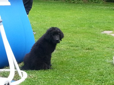 20130702_115455.jpg
