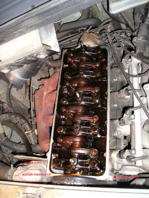 culbu 011.jpg