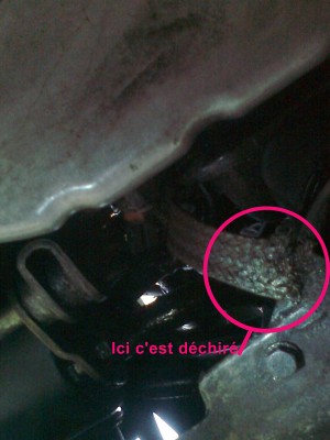 tresse déchirée.jpg