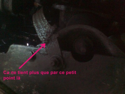 tresse dans son contexte.jpg