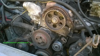 WP_20140913_004.jpg