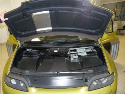 P1040873 (Medium).JPG (199.35 Kio) Vu 11056 fois Compartiment avant plein de vide