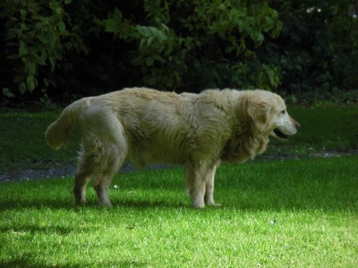 P1000037.JPG