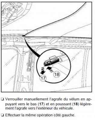 velum 2.jpg