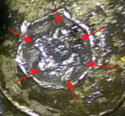 VIS TORX.jpg