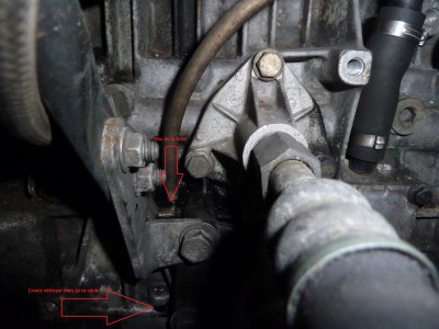 P1170229 modif.jpg