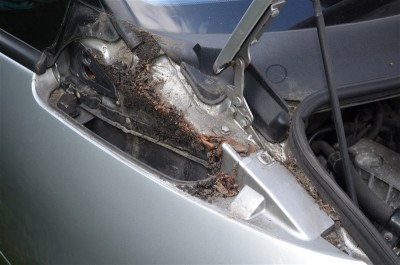 DSC_0276.JPG (92.64 Kio) Vu 4008 fois Avant