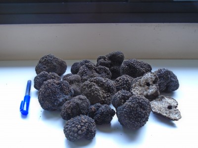 DSC01443.JPG (6.67 Mio) Vu 4392 fois DSC01443.JPG