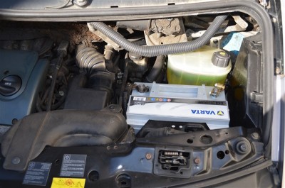 V6_40.JPG (105.17 Kio) Vu 4242 fois Avec son nouveau pace-maker !