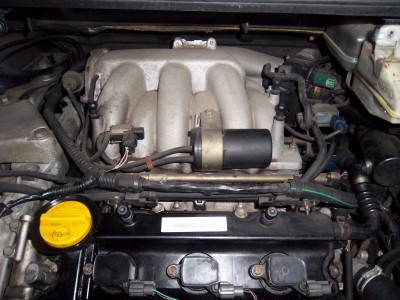 IMGP4896.JPG (2.03 Mio) Vu 6106 fois Voilà la bête.. Ca promet !