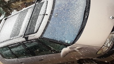 20180226_165054.jpg