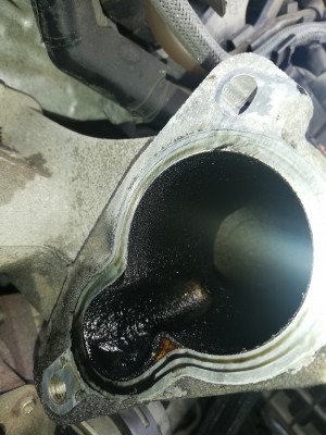 IMG_20200706_131515.jpg