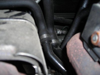 DSCN5813.jpg