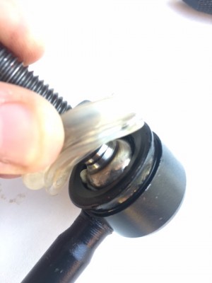 IMG_4421.JPG (50.43 Kio) Vu 4603 fois Pas beaucoup de graisse...