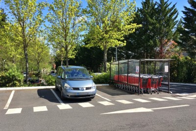 Premières pousses de printemps.jpg (457.68 Kio) Vu 7803 fois Avec le tendre vert des premières feuilles!