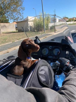 Thaïs dans son sac moto.jpeg