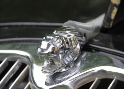 tête de lion