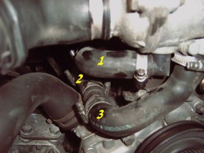 3_durits[1].jpg