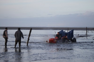 La BAIE est un peu dangereuse parfois