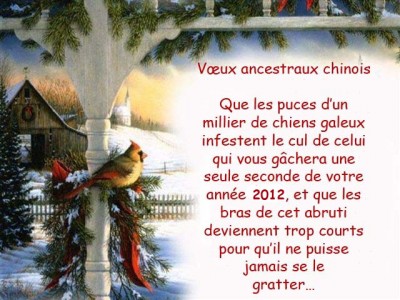 2012_Voeux-chinois21[1].jpg