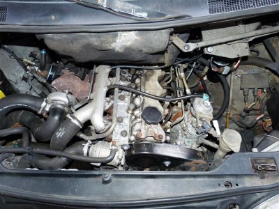 P1010827 (Medium).JPG