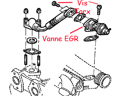 EGR-Coll.jpg