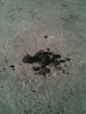 2012-11-04 11.47.40.jpg (37.88 Kio) Vu 15063 fois aperçu d'un peu de calamine