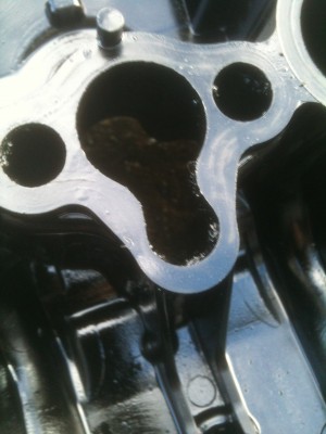 2012-11-04 16.25.32.jpg (27.42 Kio) Vu 15063 fois pas brulé