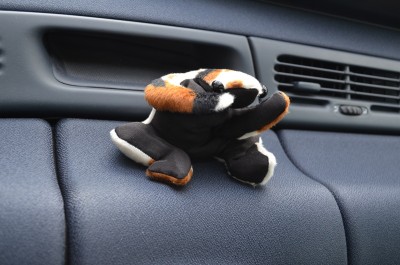 Kermit_2.JPG (29.34 Kio) Vu 7040 fois Elle s'accroche dans les virages