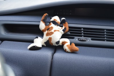 Kermit_3.JPG (26.65 Kio) Vu 7040 fois Elle essaye de monter sur la tableau de bord