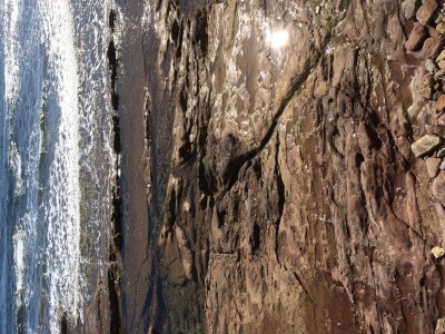 image.jpg (3.45 Mio) Vu 4450 fois Carqueiranne