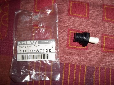 IMGP4980.JPG