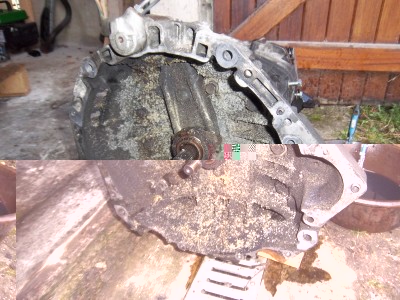 IMGP5133.JPG (1.38 Mio) Vu 4054 fois Beurkkkkk !!