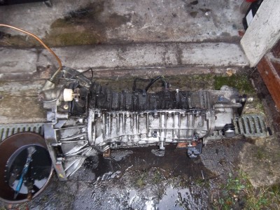 IMGP5135.JPG (1.5 Mio) Vu 4054 fois Après une heure d'effort (et un peu pollué le sol, malheureusement)