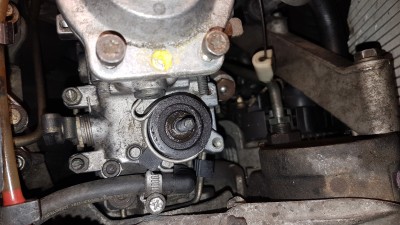 20190317_142438.jpg