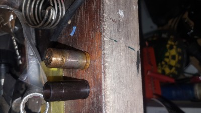 20190317_145656.jpg