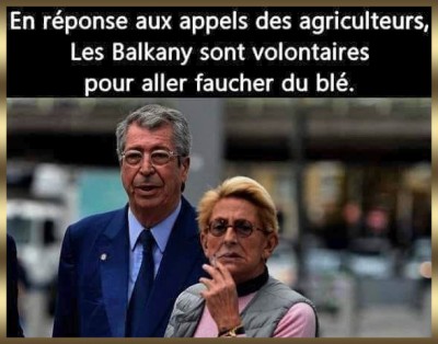 Balkany et le blé.jpg