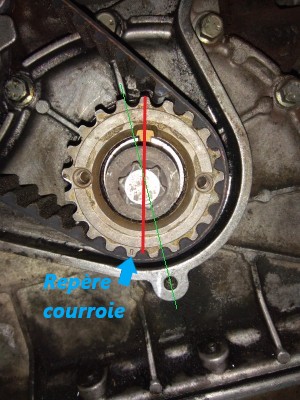 pigeage 02 Gilles 9468.jpg