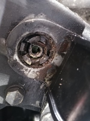 IMG_20220506_192527.jpg (159.01 Kio) Vu 1653 fois L'autre va suivre