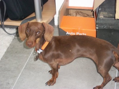 IMGP7013.JPG (188.14 Kio) Vu 4527 fois La Patronne !