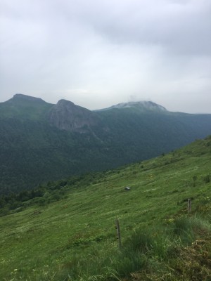 IMG_7068.JPG (195.18 Kio) Vu 2353 fois La fourrière ne viendra pas le chercher, il est tranquille dans le champ à 1600 m d'altitude !