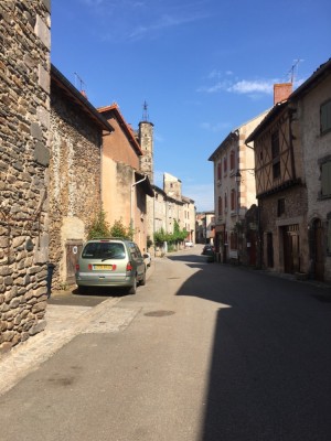 IMG_7074.JPG (279.5 Kio) Vu 2501 fois 2,2 dT court vert Lichen, copaignnn !!