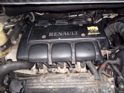 IMGP7451.JPG