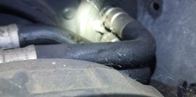 Messenger_creation_4D0D2698-FD12-446F-873D-377E26A27EBE.jpeg (31.07 Kio) Vu 2959 fois Côté conducteur