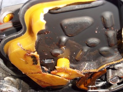 IMGP7550.JPG (233.56 Kio) Vu 1917 fois Destruction de la crépine